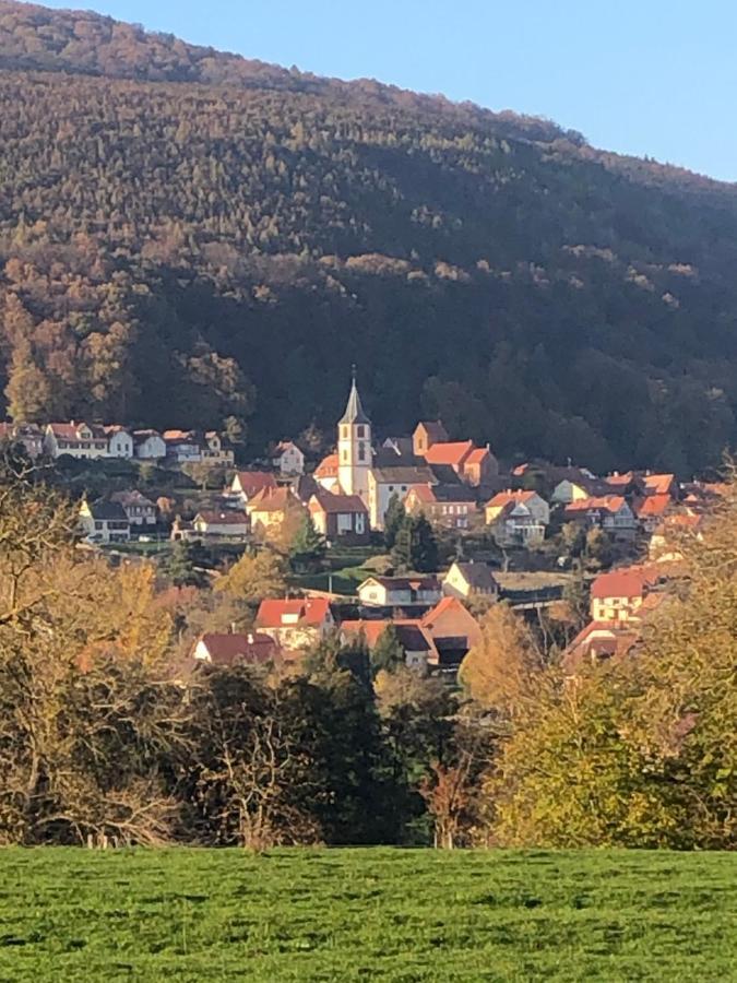L'instant Durable Holiday home Oberbronn