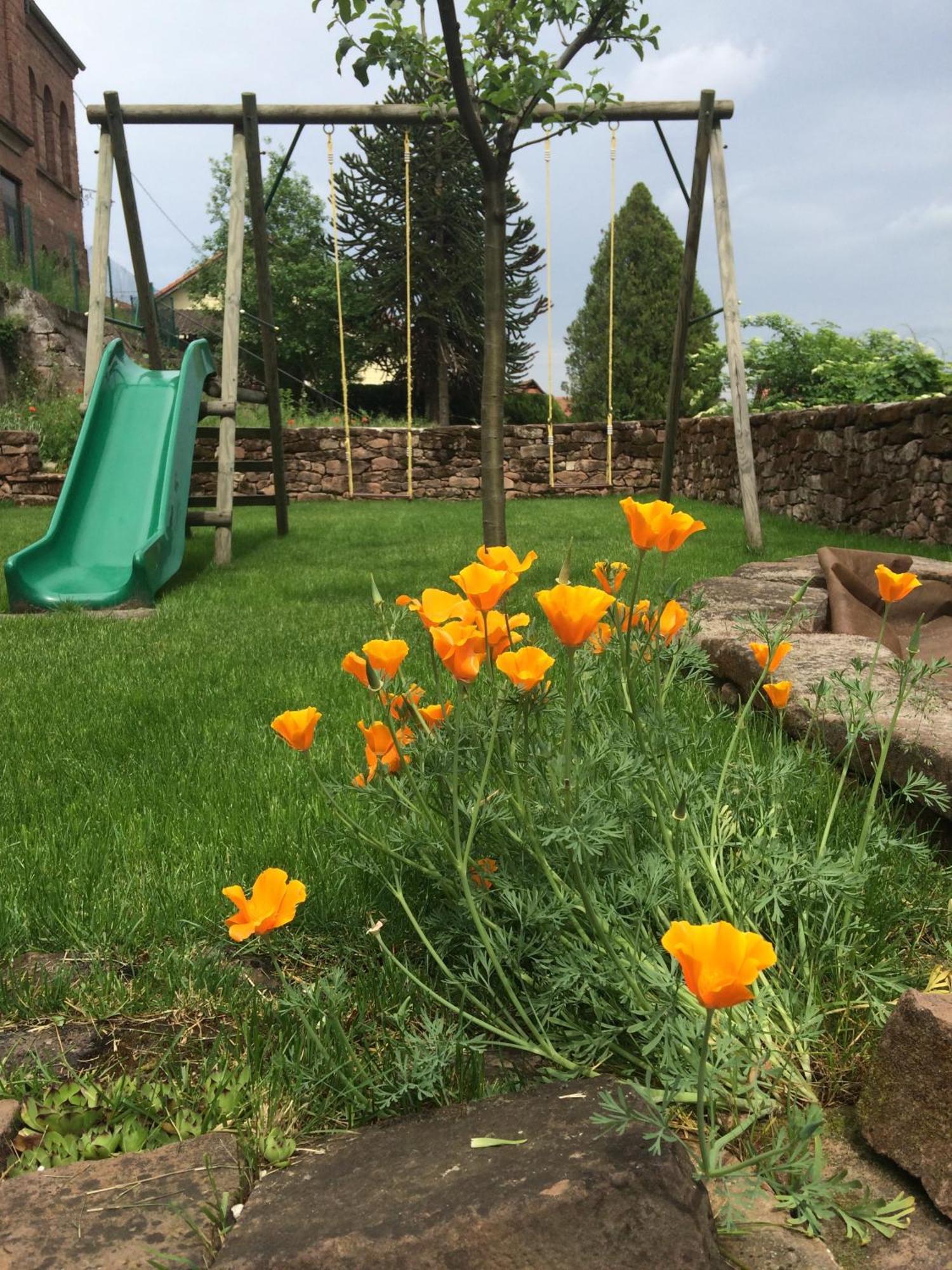 L'instant Durable Holiday home Oberbronn